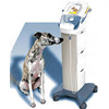 Терапевтические  лазерные комплексы для ветеринарии